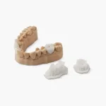 Ceramic Crown modelAccessories: Bio electric scooter vehicle battery