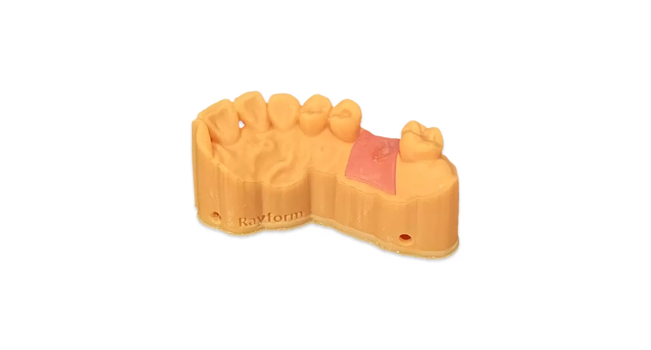 Dental Gingiva Mask Model Use