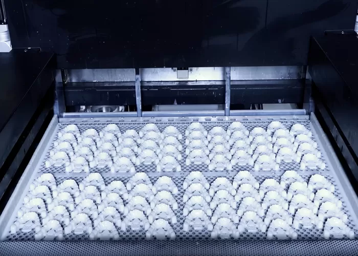 》Dental Model Production