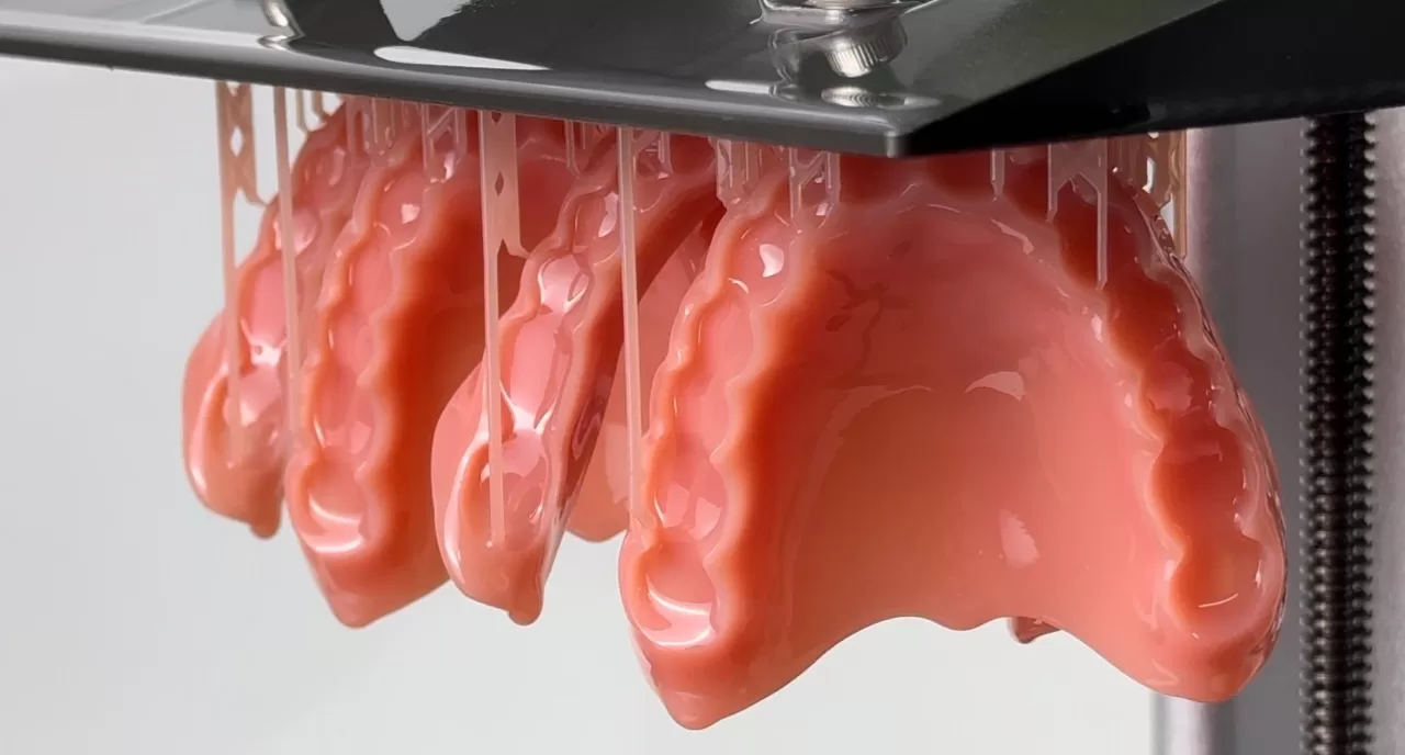 Denture Base Model Successful Printing