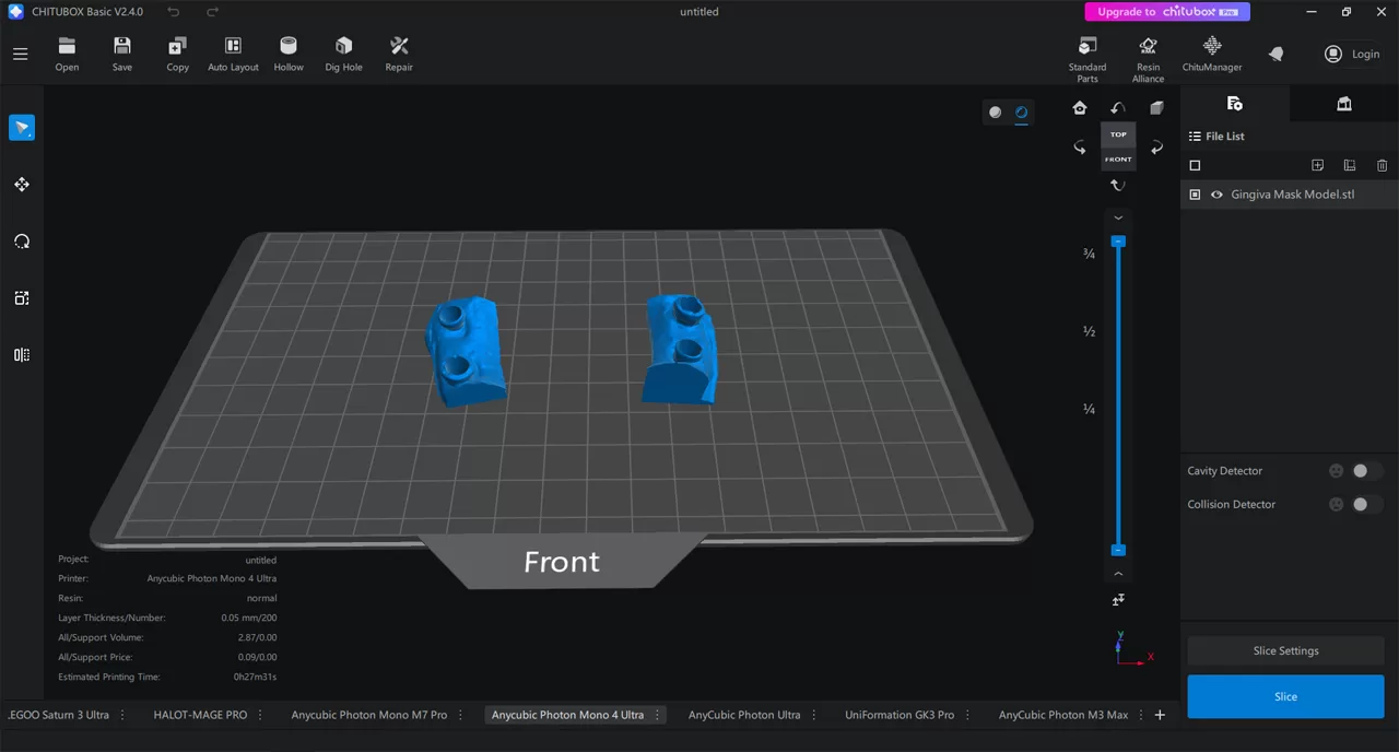Free Provide Gingiva Mask Model Test