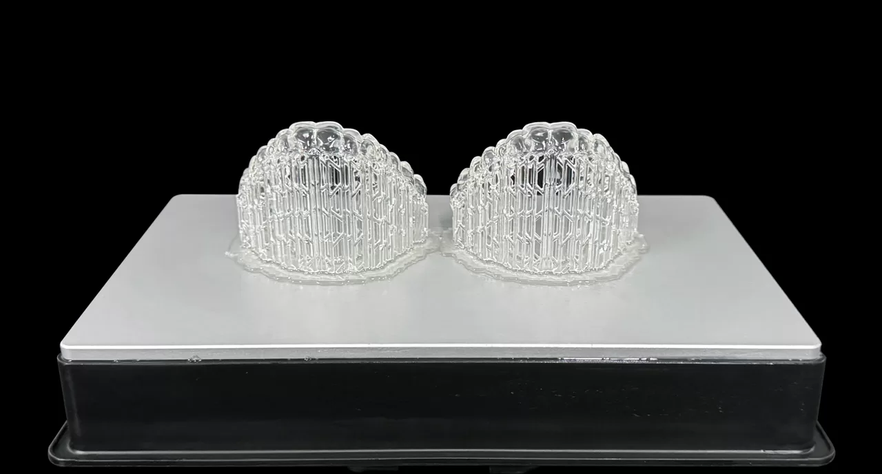 Got Dental Clear Retainer Model