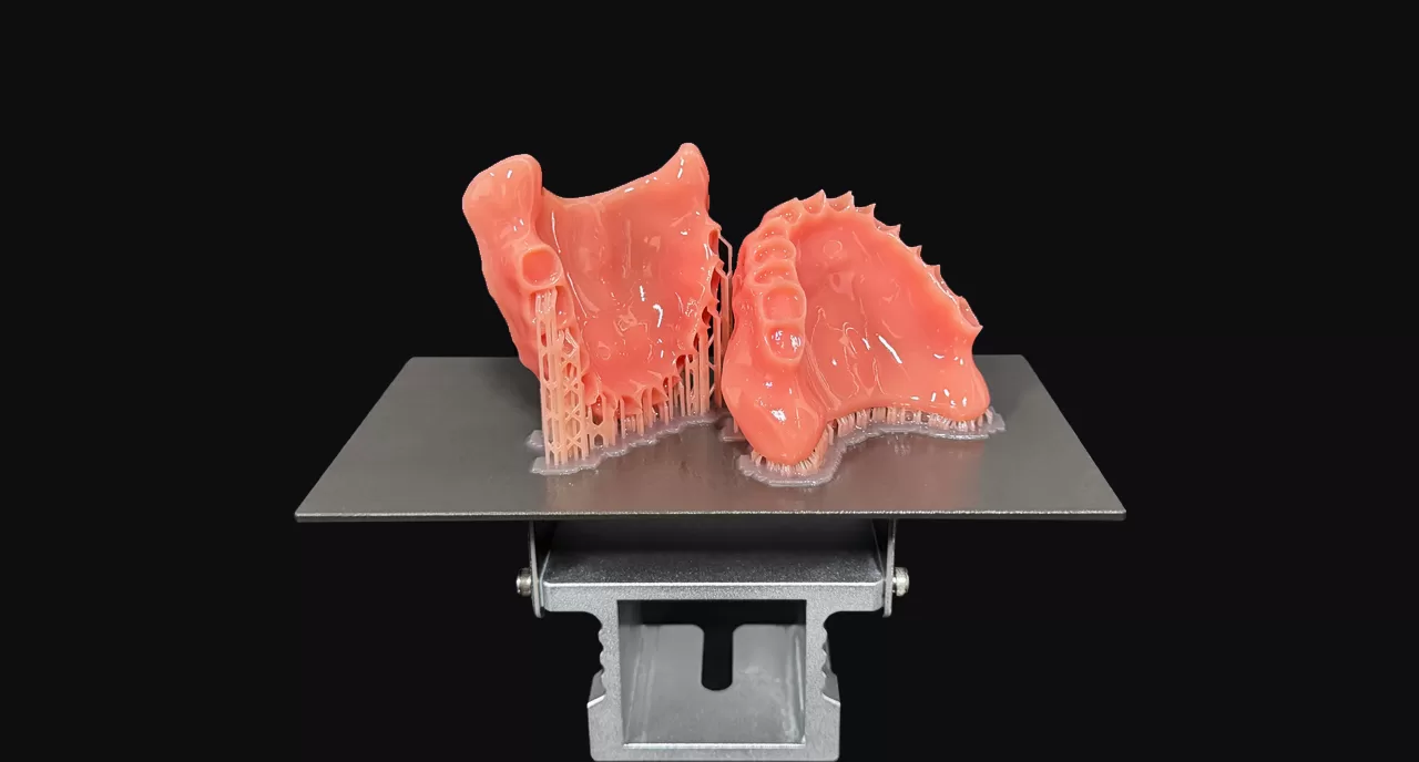 Got Dental Denture Base Model1