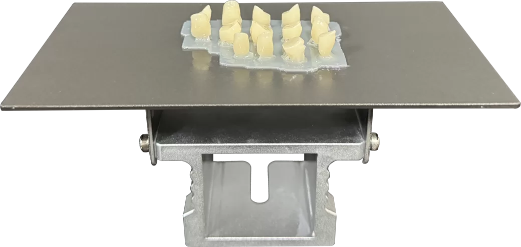 Got Permanent Dental Crown model