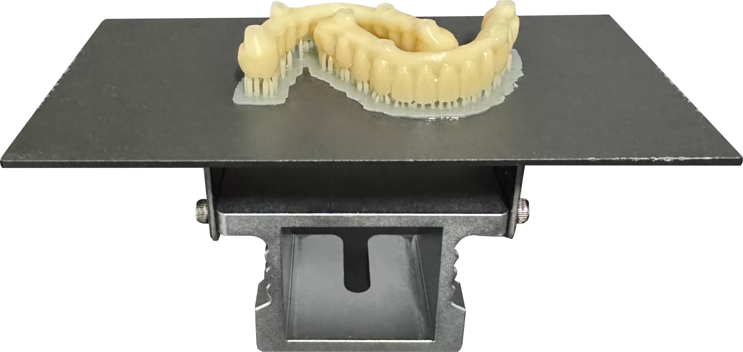 Got Temporary Crown Resin Model