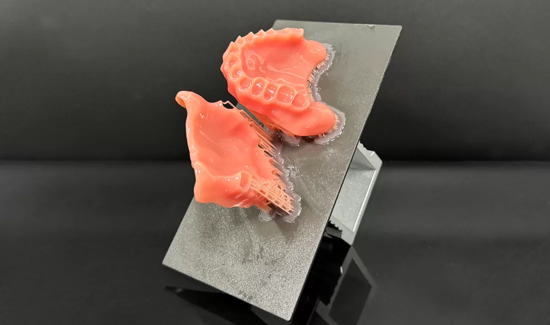 Denture Base for dental