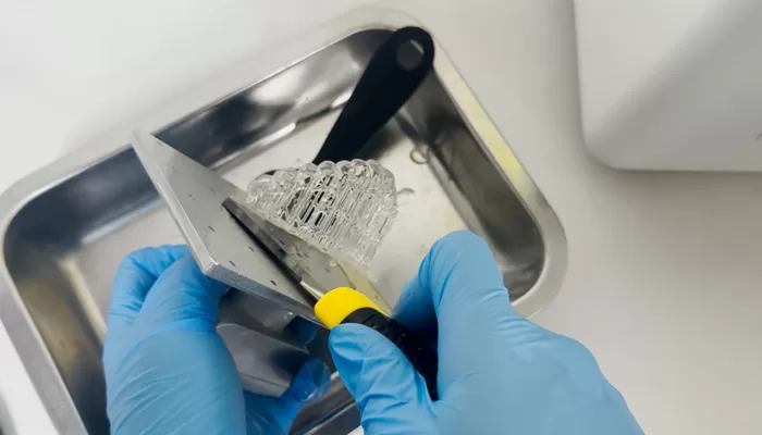 Inspect the work and clean the printer platform