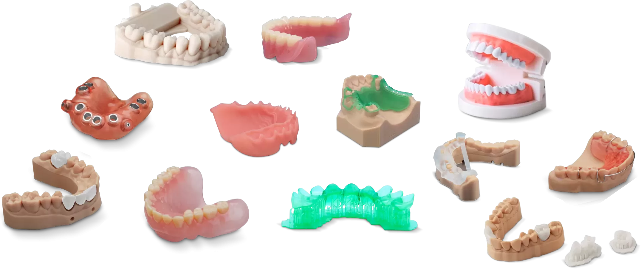 Dental model