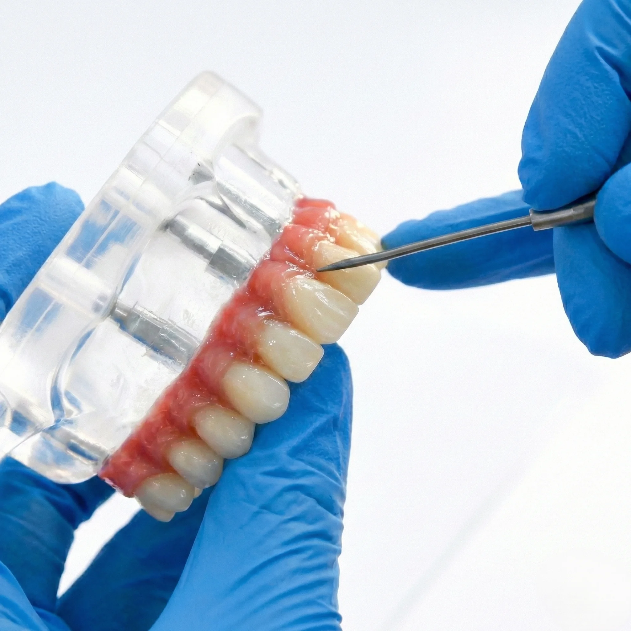 Ceraform Gum Clinical Application Video Thumbnail