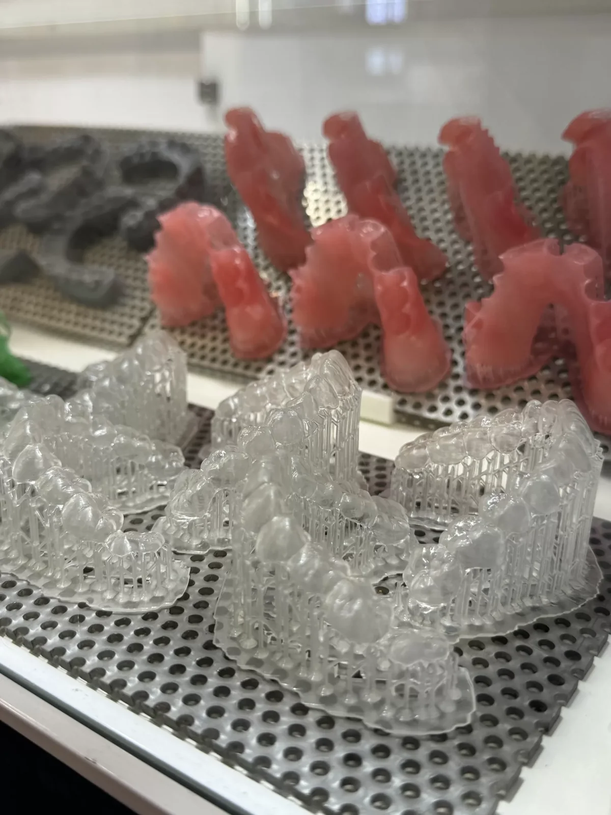 Printed dental models and denture-base samples on a RayForm display shelf at an earlier Shanghai exhibition